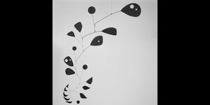 Alexander Calder - Black Widow, 1948 Tôle, fil de fer et peinture | Sheet metal, wire and  paint 325,1 x 251, 5 cm Instituto de Arquitetos do Brasil - Departamento de São Paulo