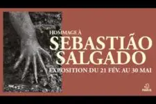 Expo Sebastião Salgado 2026 - Affiche Iguane marin